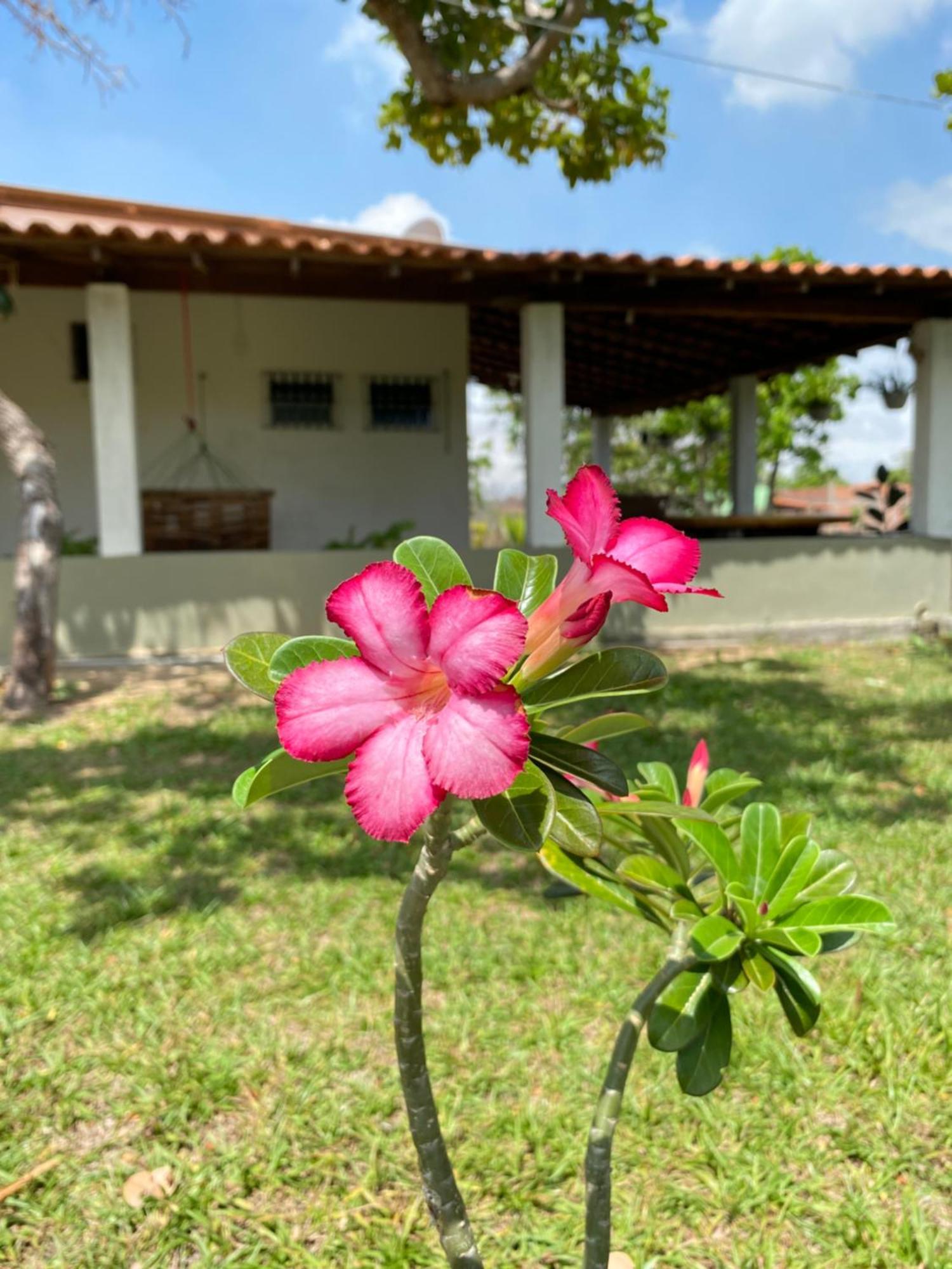 Villa Chale A 4Km Do Centro Com Wi-Fi Barreirinhas Exterior foto